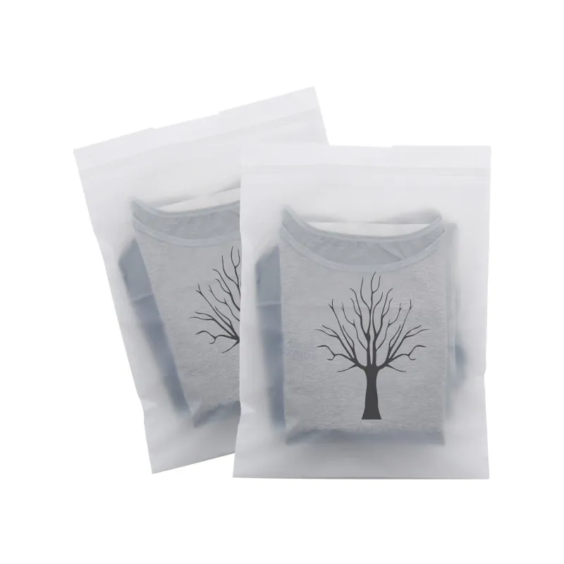 Clothing CPE Frosted Drawstring Bag