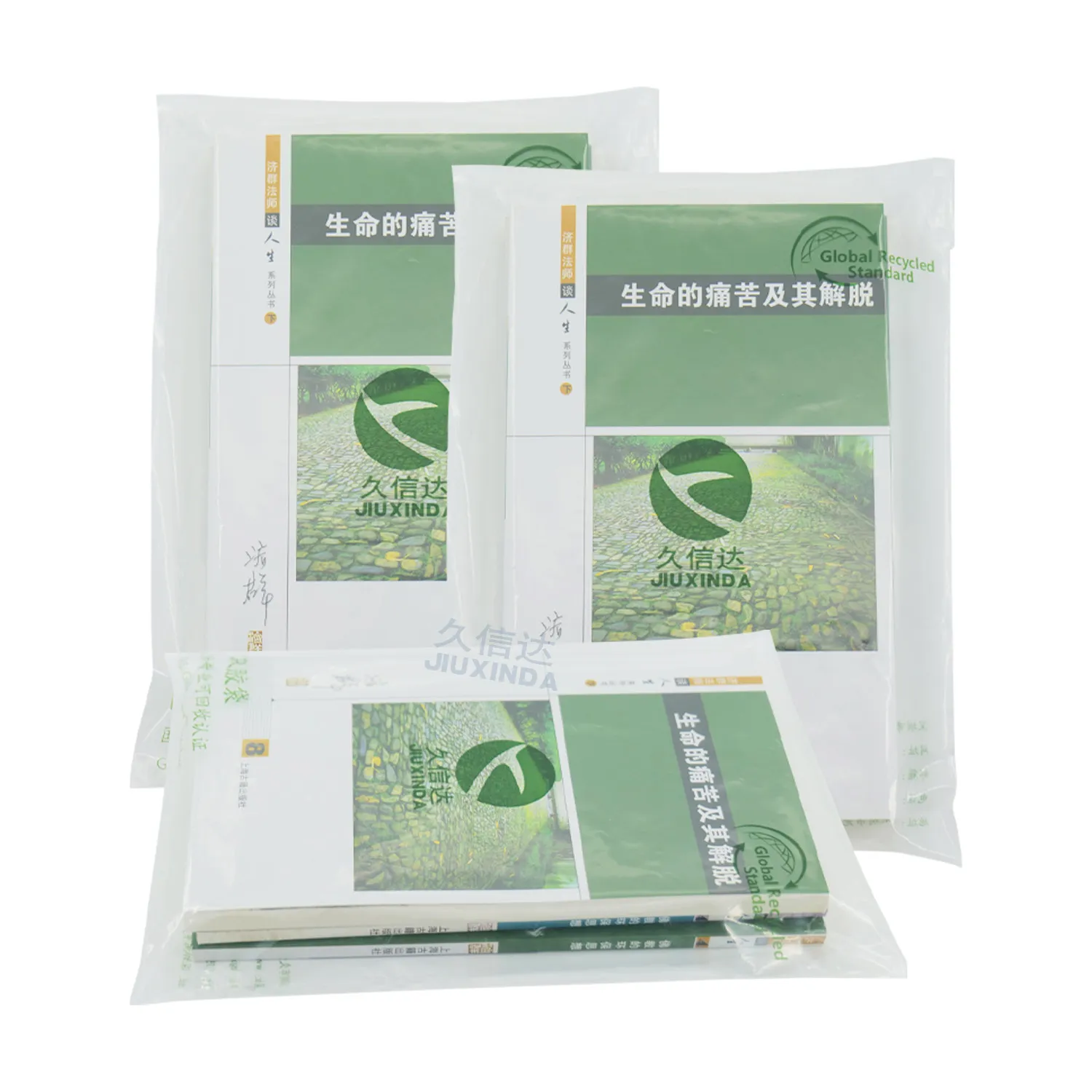 Recyclable PE Computer Bag