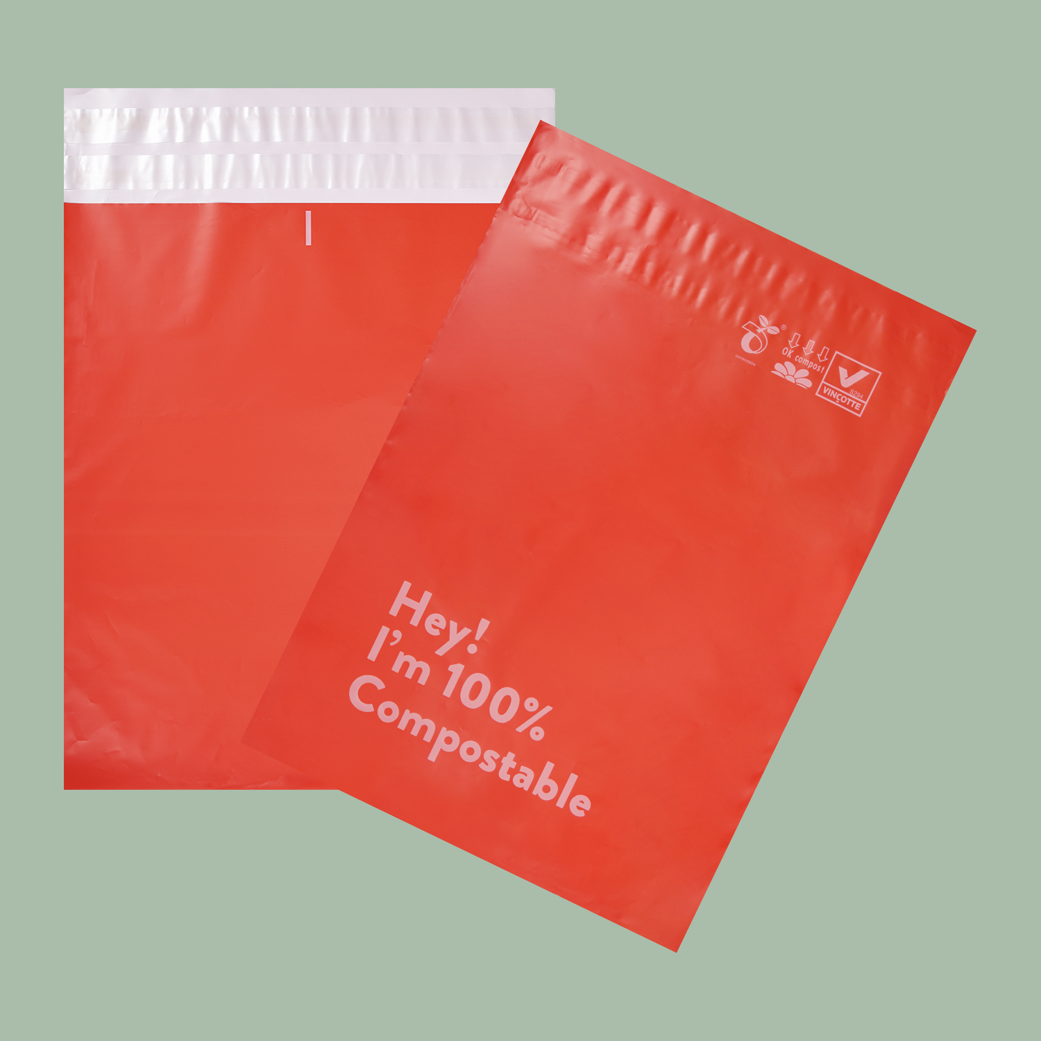 Self-adhesive Plastic Mailing Bag
