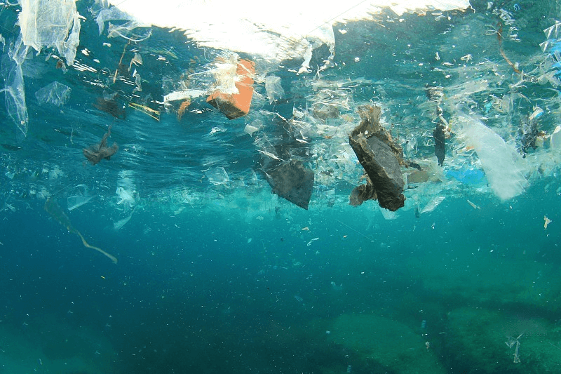 Why Eco Friendly Packaging Bags Are the Future